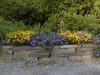 kanth114w20f